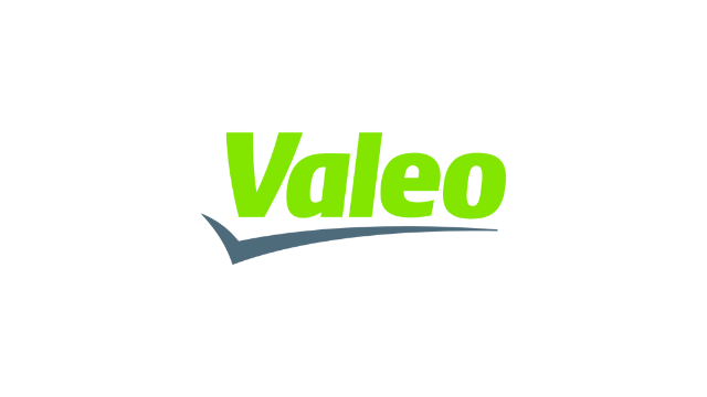 Valeo Egypt Summer Internship