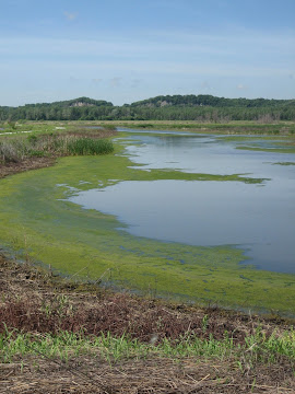 MISSOURI