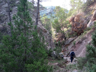 Arroyo de la Saladilla