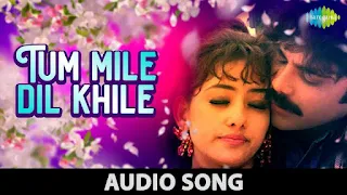 Tum Mile Dil Khile Lyrics - Criminal | Nagarjuna Akkineni