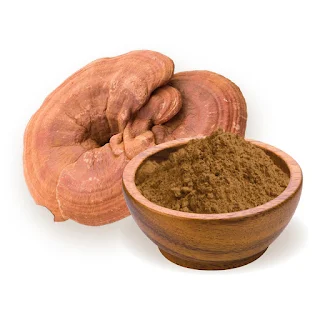 MycoNutra® Ganoderma mushroom powder.