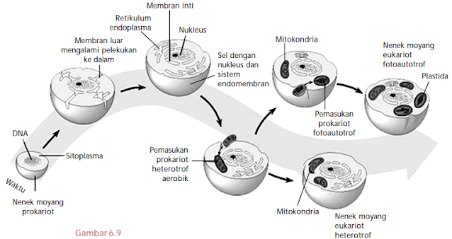 Teori Asal-Usul Kehidupan