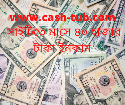 WWW.cash-tub.com সাইটিতে মাসে ৪০ হাজার টাকা ইনকাম ঘরে বসেই 