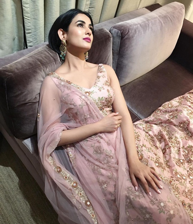 Actress Pictures: Actress Sonal Chauhan New Photos