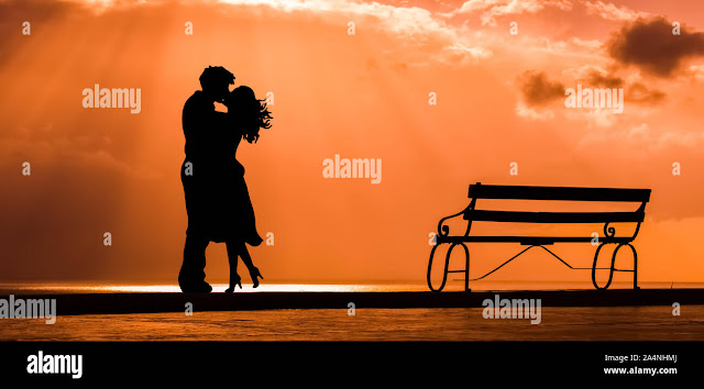 शायरी ब्लॉग ( Shayari Blogging)  का भविष्य क्या है और इसमें कितने पैसे मिलते हैं?