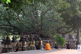 Bodh Gaya, Indie  - Śladami Buddy