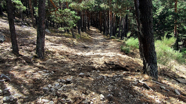 San Rafael, Hornillo, Mina, Lagasca