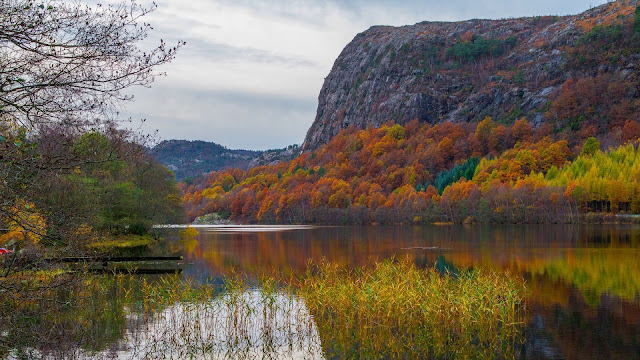 Download autumn lake beautiful fall scenery wallpaper.