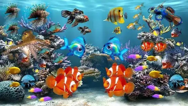 Combien de poisson dans un aquarium de 60 l