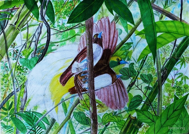 Water colour painting of paradise birds for sale in redbubble
