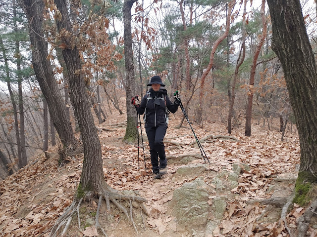 검단산 산책로