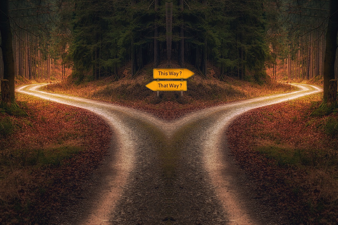 The image contains two paths with a sign board This way or that way and pine trees.