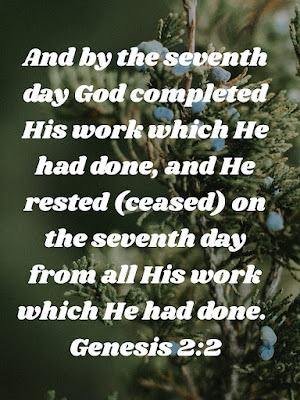 Image shows YiuVersion Bible App meme with graoe leaves and ripe grapes in the background.  White italic script superimposed reads - And by the seventh day God completed His work which He had done, and He rested (ceased) on the seventh day from all His work which He had done. Genesis 2:2