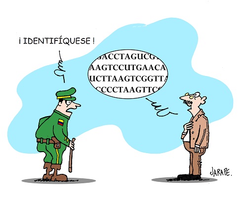 Identificación
