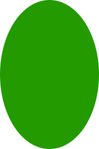 Green oval shape