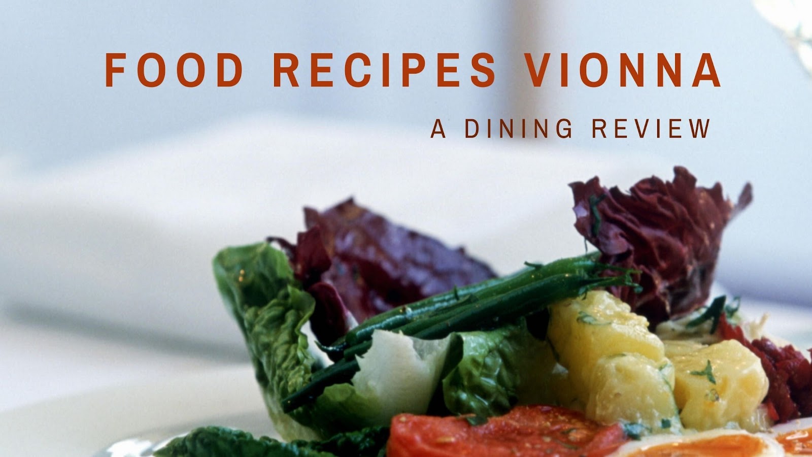 Food Recipes Vionna
