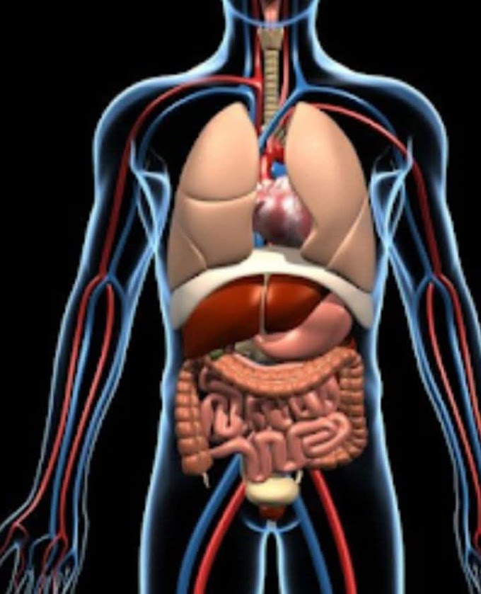 உடல் நலம் செய்யக்கூடாத 11 விஷயங்கள் Health