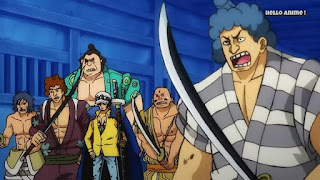 ワンピースアニメ  997話 ワノ国編 | トラファルガー・ロー かっこいい トラ男 | ONE PIECE Trafalgar Law