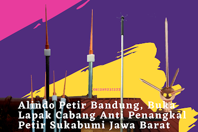 https://sinar-alam-elektro.blogspot.com/2021/12/spesialist-pasang-penangkal-petir.html