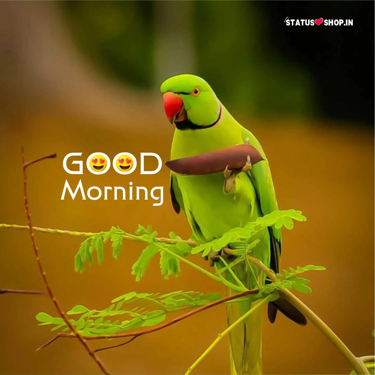 New-Good-Morning-Images