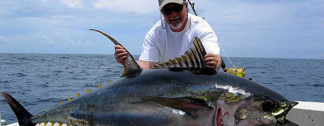 Tuna fishing Puerto Vallarta