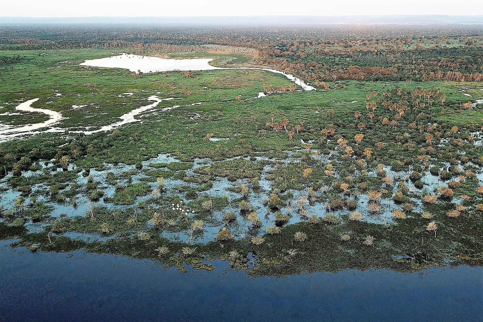 Pantanal: la plus vaste zone humide de la planète - Les 10 merveilles de la nature du Brésil