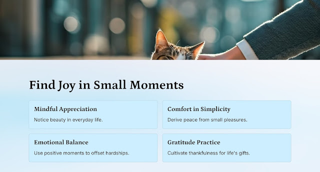 Find Joy in Small Moments