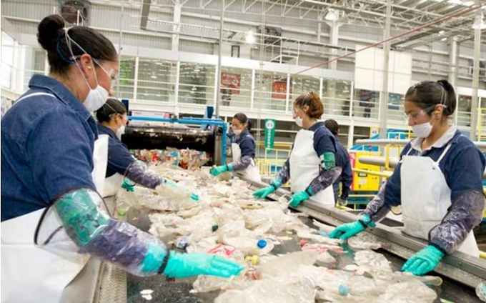 Partido Verde exige incorporar la responsabilidad extendida de la economía circular