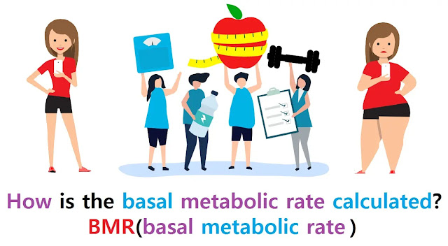 How is the basal metabolic rate calculated? BMR(basal metabolic rate)