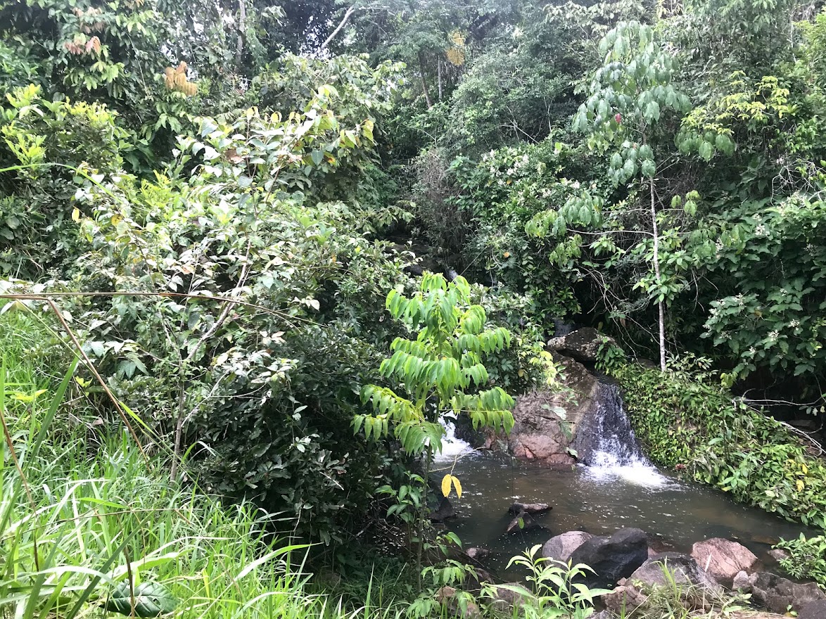 Colorado do Oeste | Zona Rural