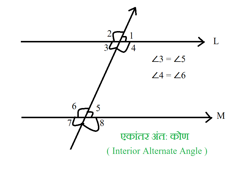 एकांतर अंत: कोण ( Interior Alternate Angle )