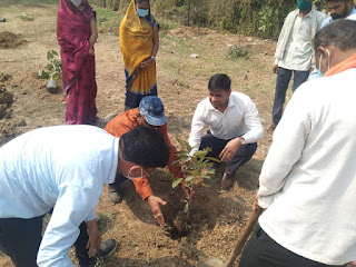 अंकुरण अभियान के अंतर्गत ग्राम सिरपुर गौशाला में वृक्षारोपण किया गया