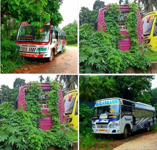 Bus Service- ಮಂಗಳೂರು- ಖಾಸಗಿ ಬಸ್‌ ಸೇವೆಯಲ್ಲಿ ವ್ಯತ್ಯಯ: ನಾಗರಿಕರ ಆಕ್ರೋಶ