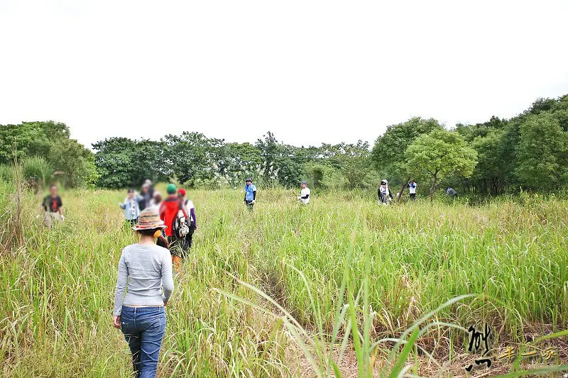 花蓮野外求生必備植物認知與學習、獵寮完工~東海岸水璉部落工作假期