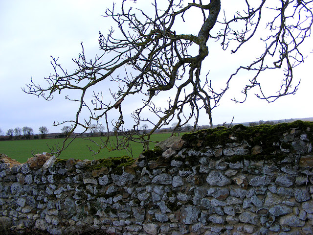 Mediaeval field, Indre et Loire, France. Photo by Loire Valley Time Travel.