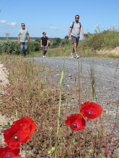 Alcáçovas Outdoor