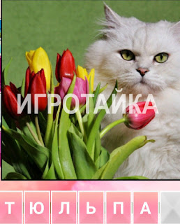 800 слов кошка с тюльпанами на 13 уровне