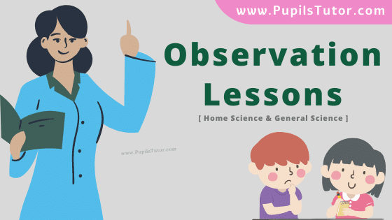 Home Science Observation Lesson Plan For B.Ed, DE.L.ED, M.Ed 1st 2nd Year And Class 6th To 12th  Teacher Free Download PDF On   In English Medium. - www.pupilstutor.com