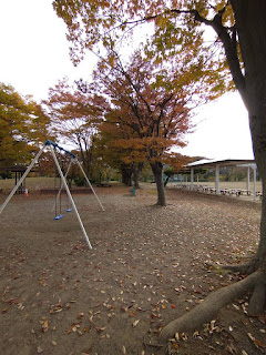 【20211102】更埴中央公園の紅葉