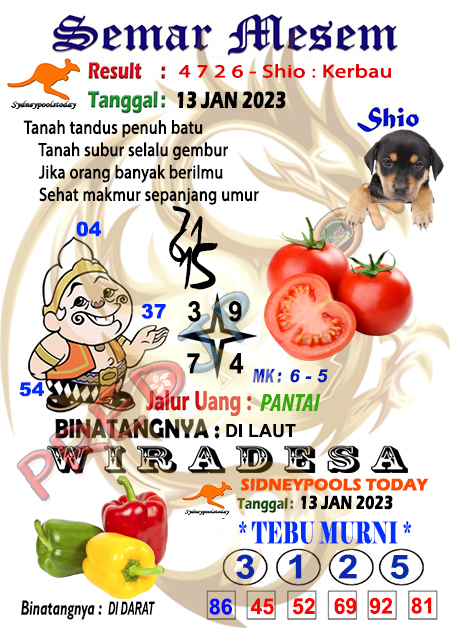 Prediksi Semar Mesem SDY Hari Ini JP 13 Januari 2023