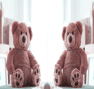 teddy bear 5 feet