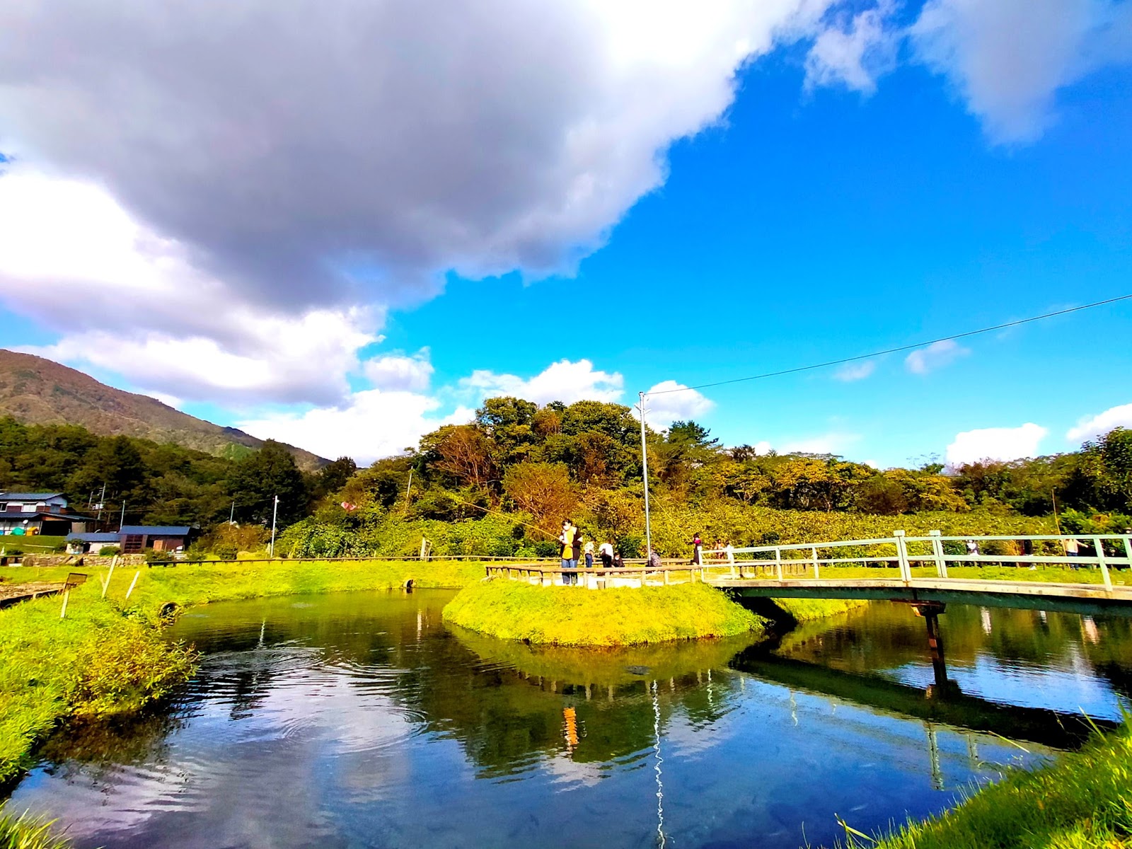 最後に、塩釜養魚センターの全景など。