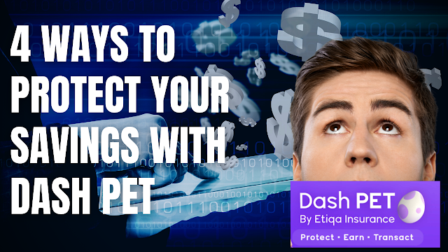 4 ways to protect your savings with Dash PET