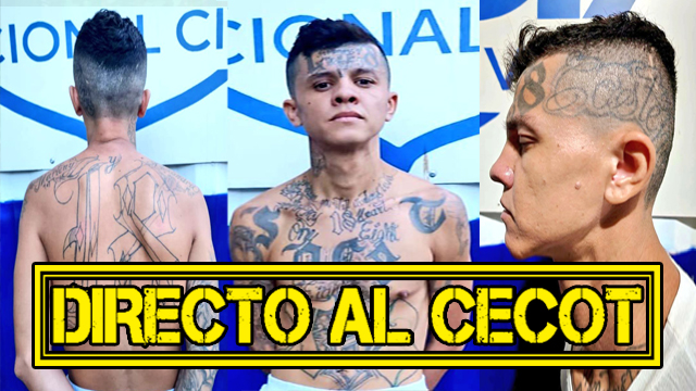 El Salvador: Capturan a alias «Streetboy», pandillero pensó que saldría en libertad pero la PNC lo detuvo y irá directo al CECOT