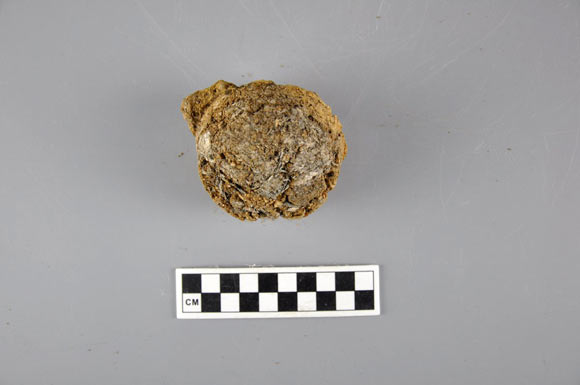 Τα υπολείμματα τσαγιού 2.400 ετών από ένα πήλινο δοχείο που βρέθηκε στην αρχαία πρωτεύουσα του Βασιλείου Ζου στο Zoucheng της επαρχίας Shandong της Κίνας. [Credit: Jiang et al.].