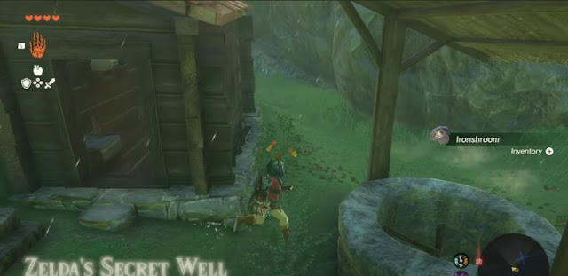 Champion's Tunic Position in Zelda Tears of the Kingdom