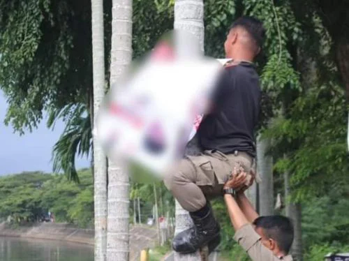 Jaga Keindahan dan Tata Wajah Kota, Satpol PP Padang Tertibkan Reklame Tanpa Izin