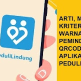 Arti, Makna Dan Standar Warna Hasil Pemindaian Qrcode Pada Aplikasi Pedulilindungi