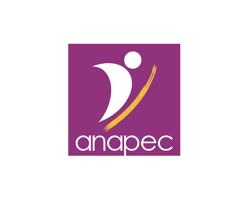 ANAPEC  : توظيف 74 منصب في العديد من التخصصات بالدار البيضاء