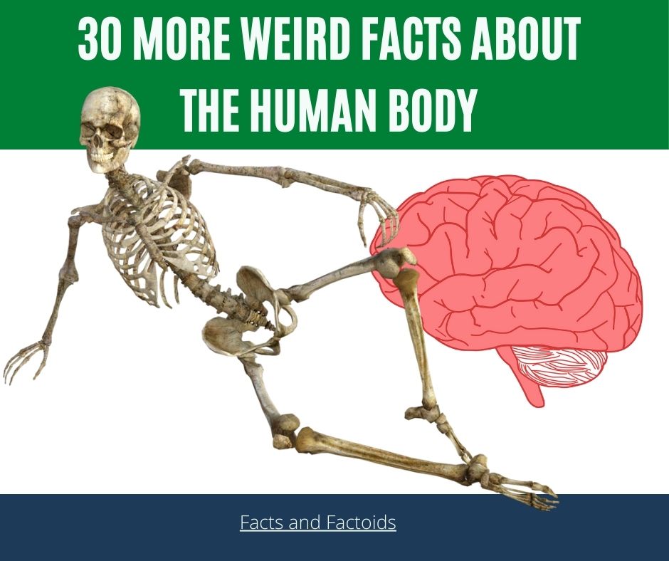 30 Gross Facts About the Human Body That Will Amaze You